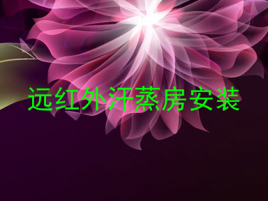 远红外汗蒸房安装