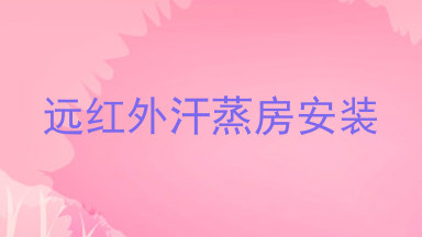 远红外汗蒸房安装