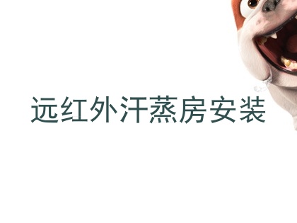 远红外汗蒸房安装