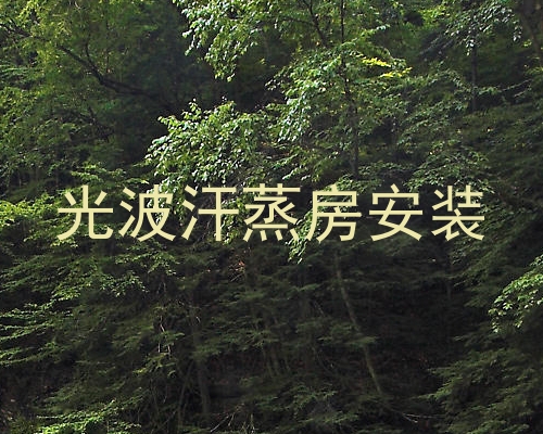 光波汗蒸房安装