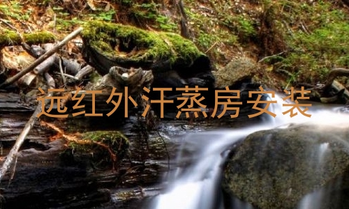 远红外汗蒸房安装