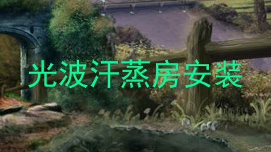 光波汗蒸房安装