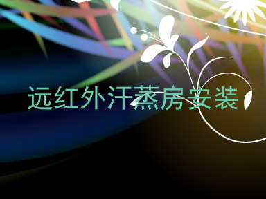 远红外汗蒸房安装