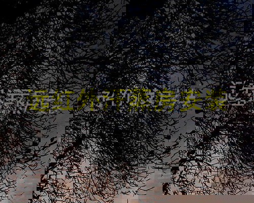 远红外汗蒸房安装