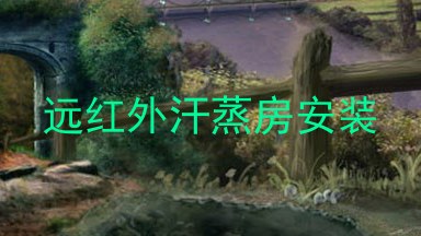 远红外汗蒸房安装