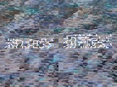 家用汗蒸房安装