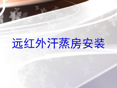 远红外汗蒸房安装