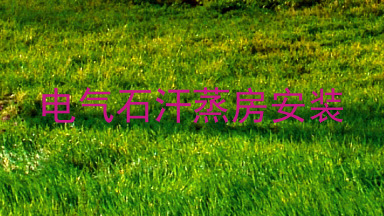 电气石汗蒸房安装