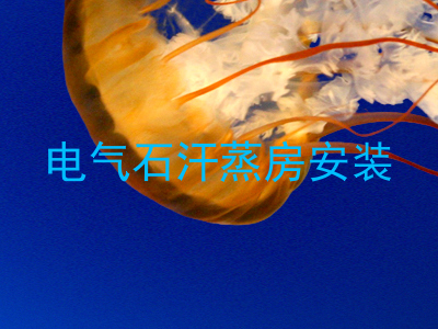 电气石汗蒸房安装