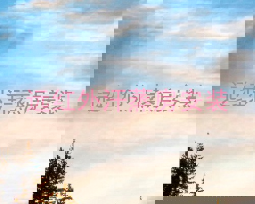 远红外汗蒸房安装