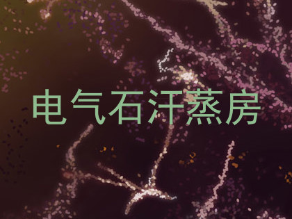 电气石汗蒸房