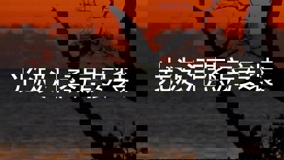 光波汗蒸房安装