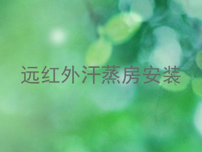远红外汗蒸房安装