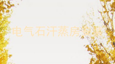 电气石汗蒸房安装