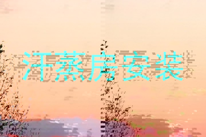 汗蒸房安装