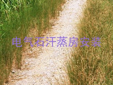 电气石汗蒸房安装