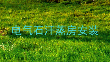 电气石汗蒸房安装