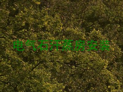 电气石汗蒸房安装