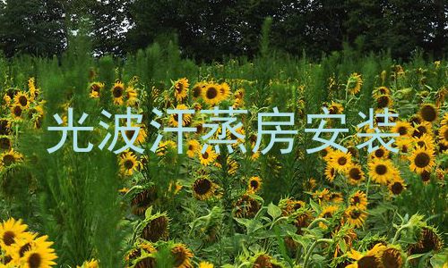 光波汗蒸房安装