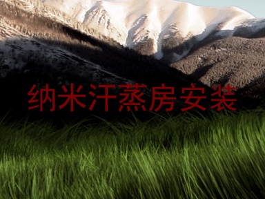 纳米汗蒸房安装