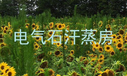 电气石汗蒸房