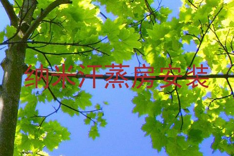 纳米汗蒸房安装