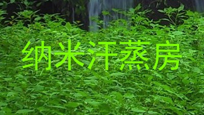 纳米汗蒸房