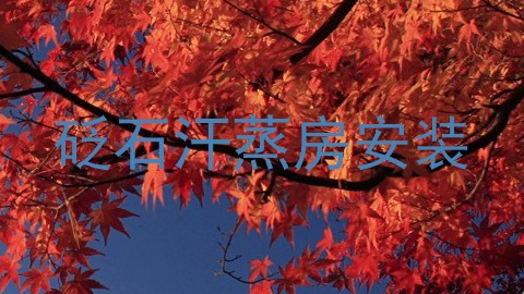 砭石汗蒸房安装