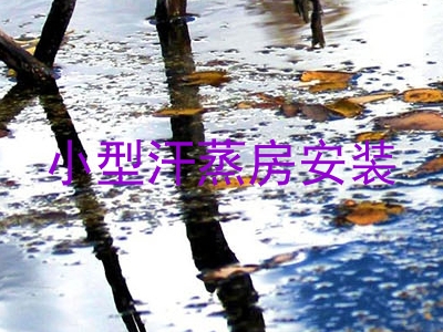 小型汗蒸房安装