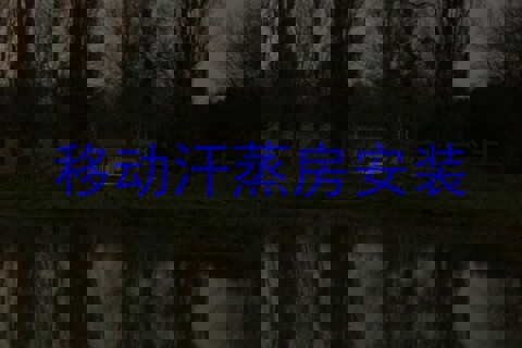 移动汗蒸房安装