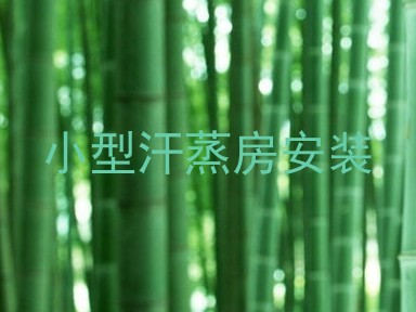 小型汗蒸房安装
