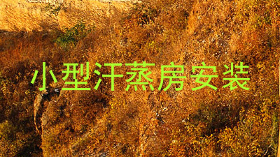 小型汗蒸房安装