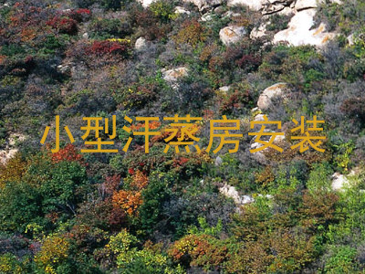 小型汗蒸房安装