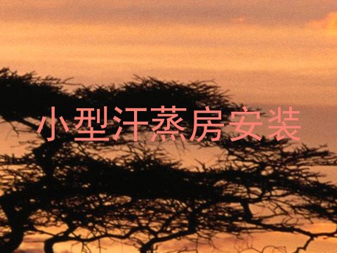 小型汗蒸房安装