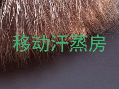 移动汗蒸房