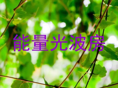 能量光波房