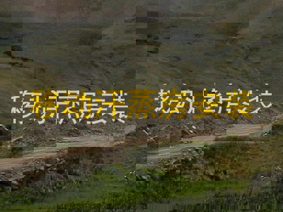 移动汗蒸房安装