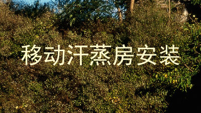 移动汗蒸房安装