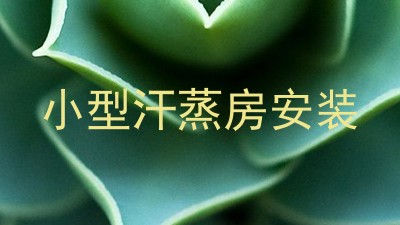 小型汗蒸房安装