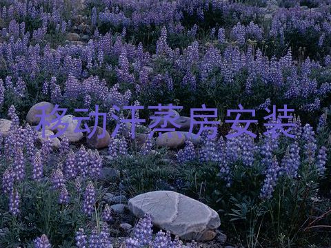 移动汗蒸房安装