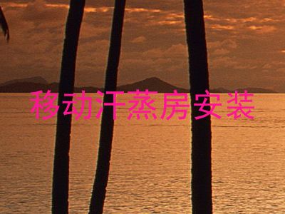 移动汗蒸房安装