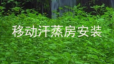 移动汗蒸房安装