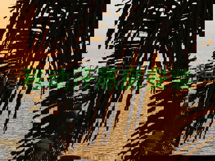 移动汗蒸房安装