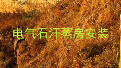 电气石汗蒸房安装