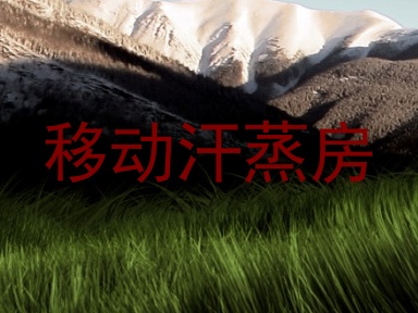 移动汗蒸房