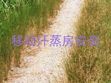 移动汗蒸房安装