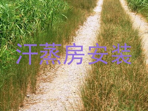 汗蒸房安装