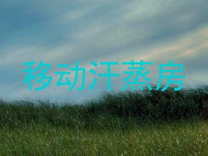 移动汗蒸房