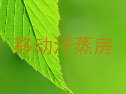 移动汗蒸房
