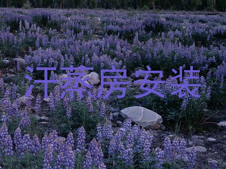 汗蒸房安装